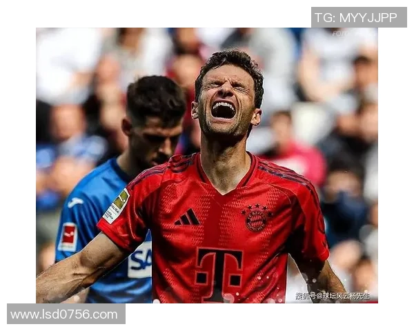 霍芬海姆对阵拜仁精彩直播尽在哇哈体育，足球迷不可错过的盛宴