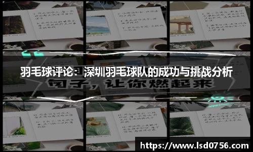 羽毛球评论：深圳羽毛球队的成功与挑战分析